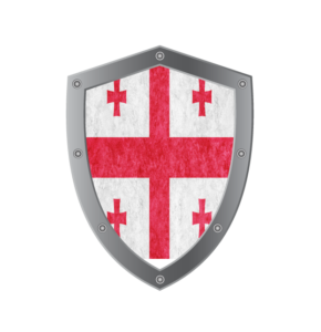 Georgia flag of medstartedu