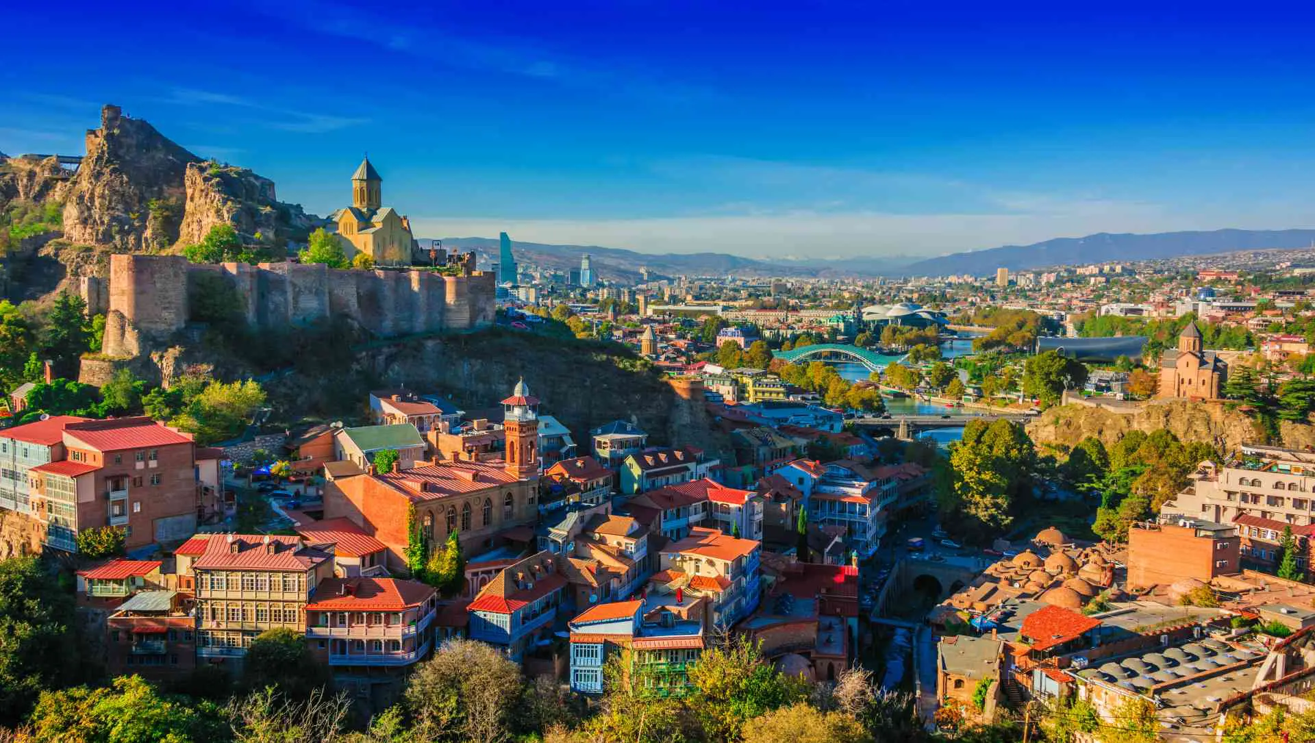 Study Pharmacy in Georgia in English