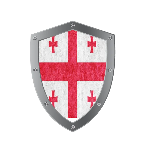 Georgia flag of medstartedu