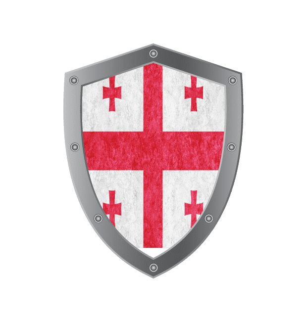 Georgia flag of medstartedu
