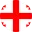 Medstartedu - Georgian flag